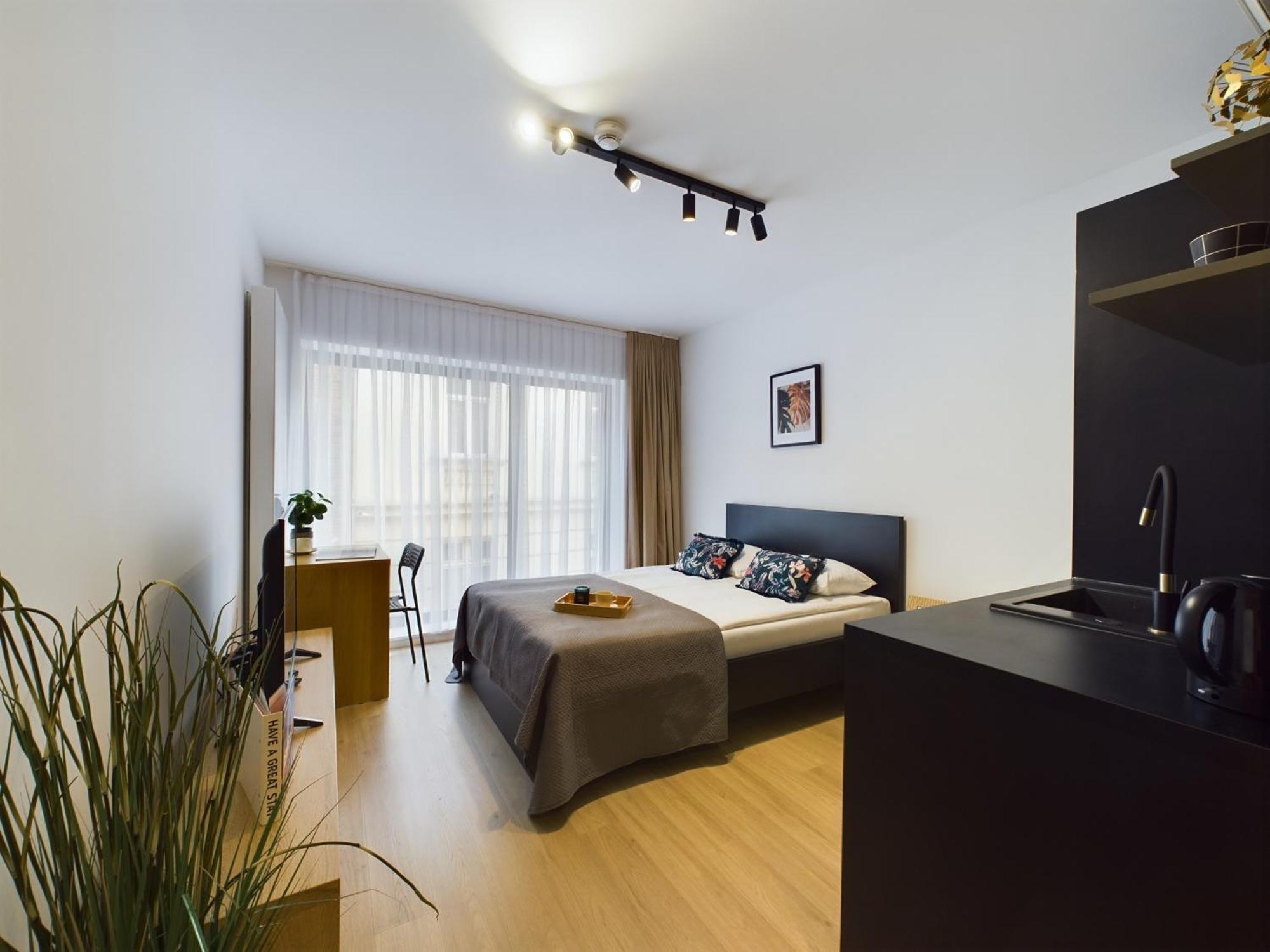 Modern With Air Conditioning In Downtown By Renters * Krakau
